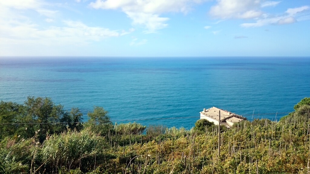 Cinque Terre