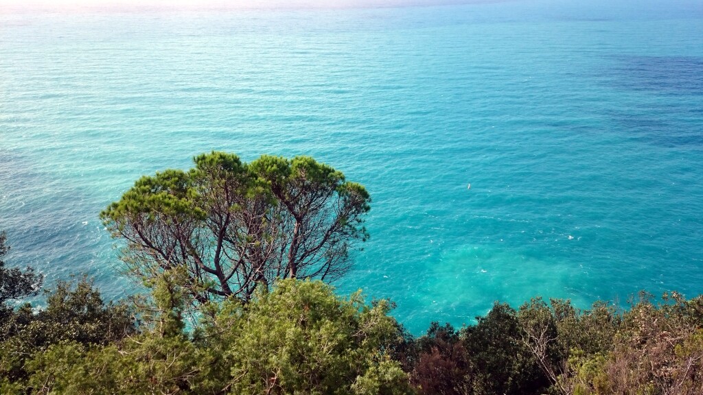 Cinque Terre