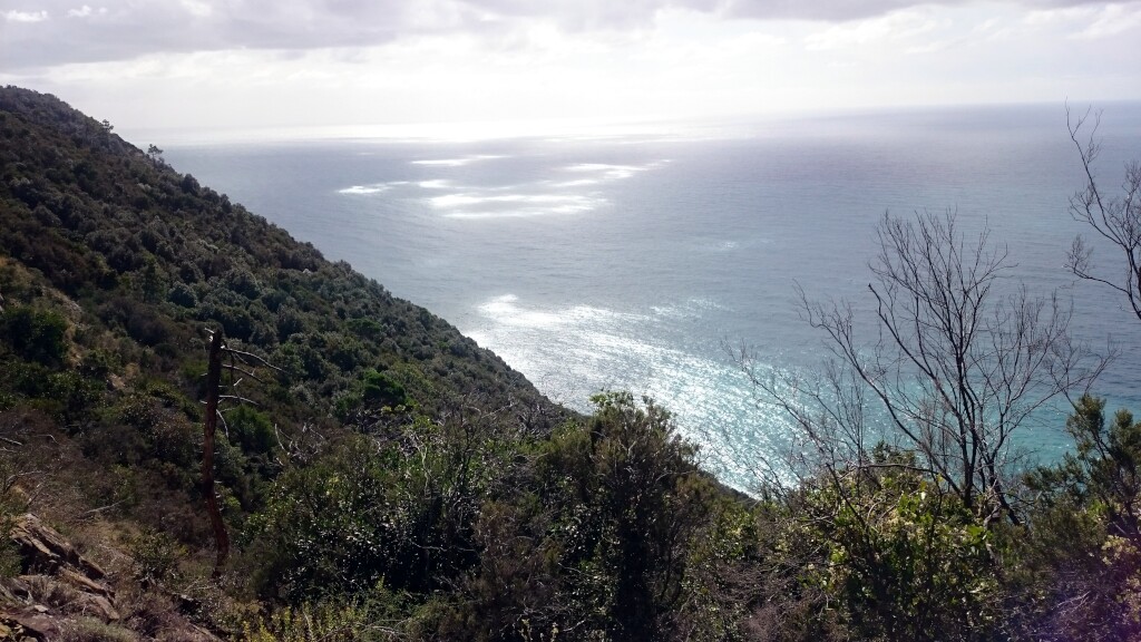 Cinque Terre