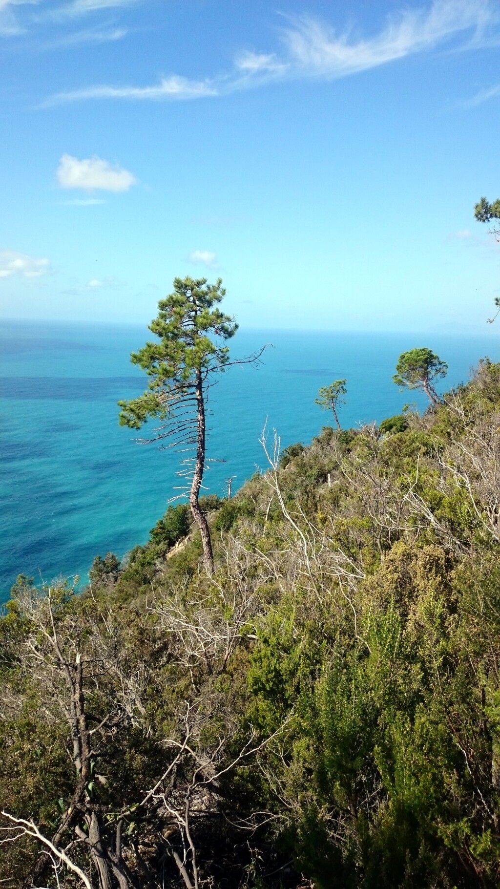 Cinque Terre
