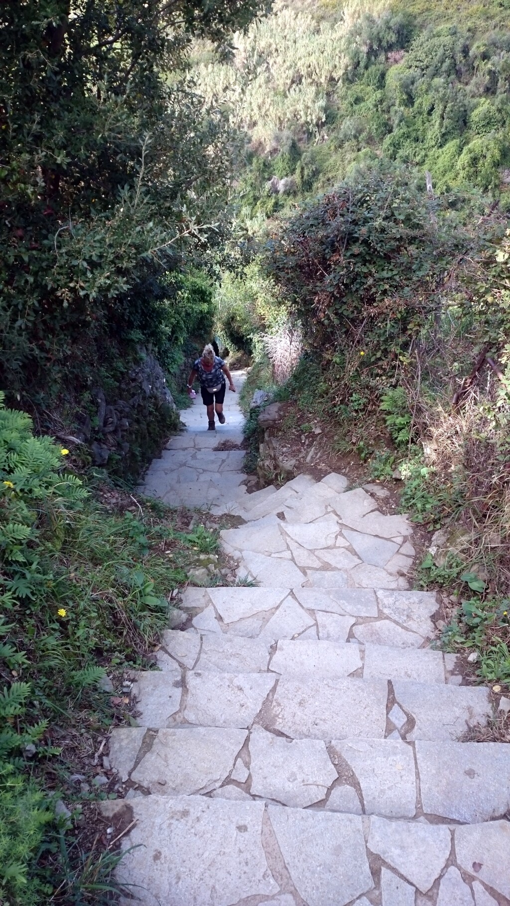 Cinque Terre
