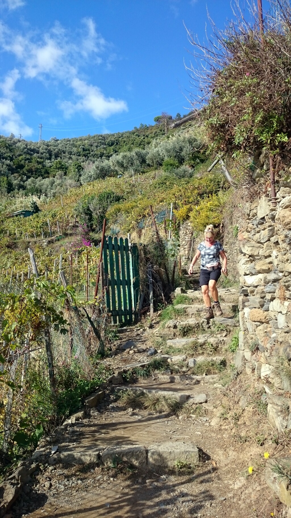 Cinque Terre