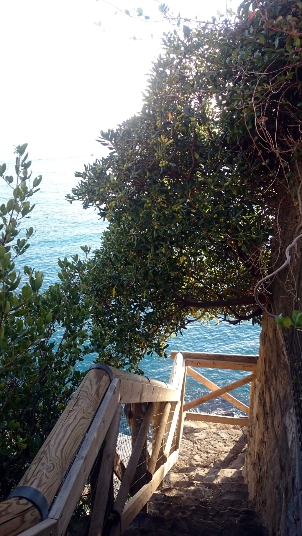 Cinque Terre