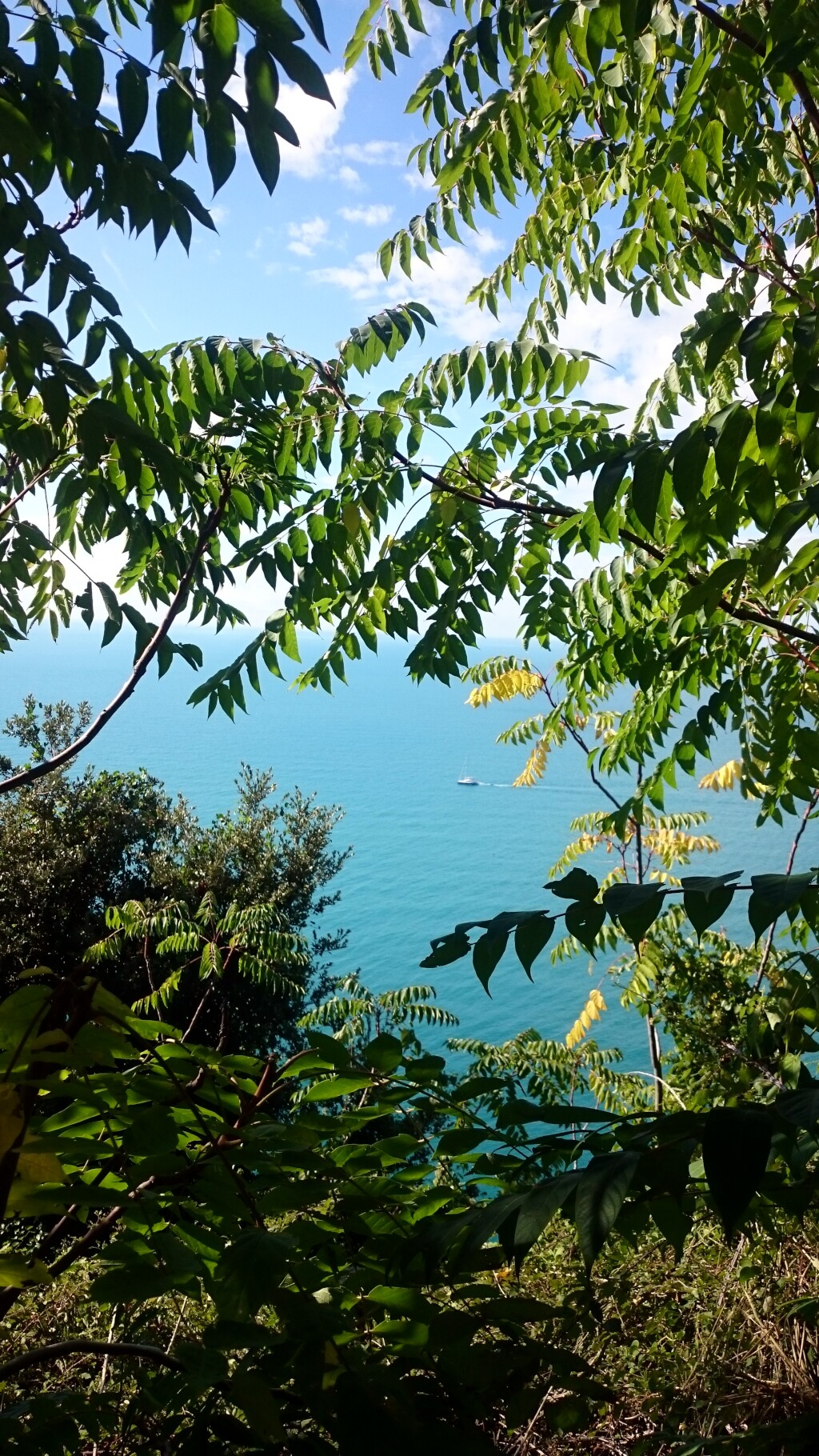 Cinque Terre