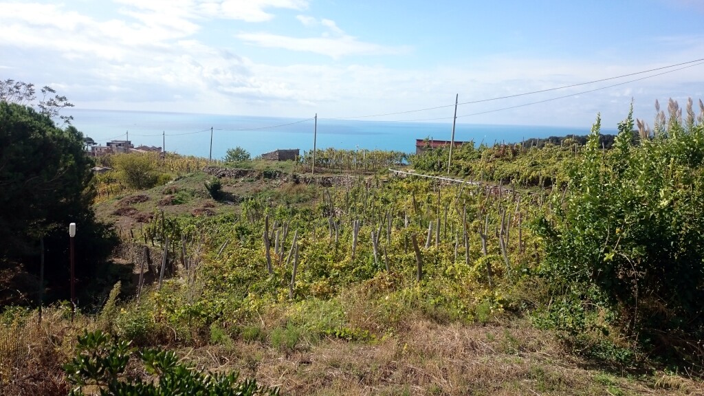 Cinque Terre