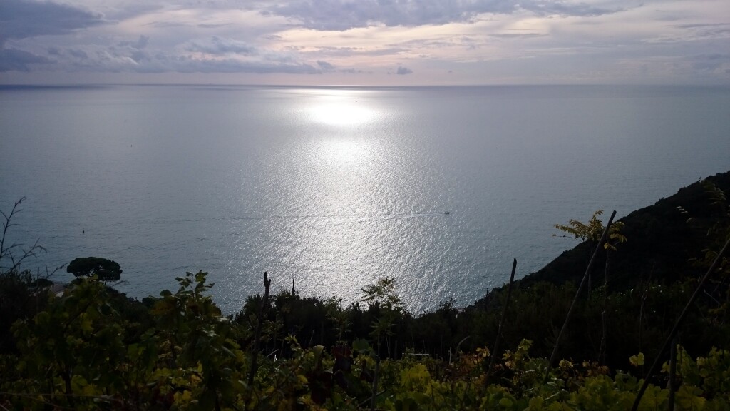 Cinque Terre