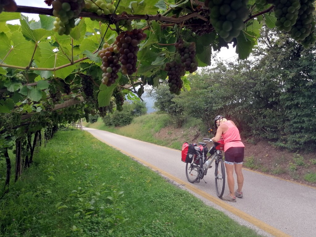 Via claudia augusta