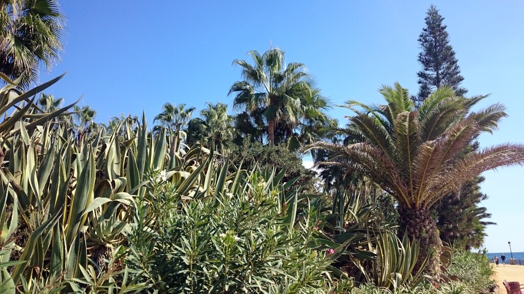 Costa del Sol