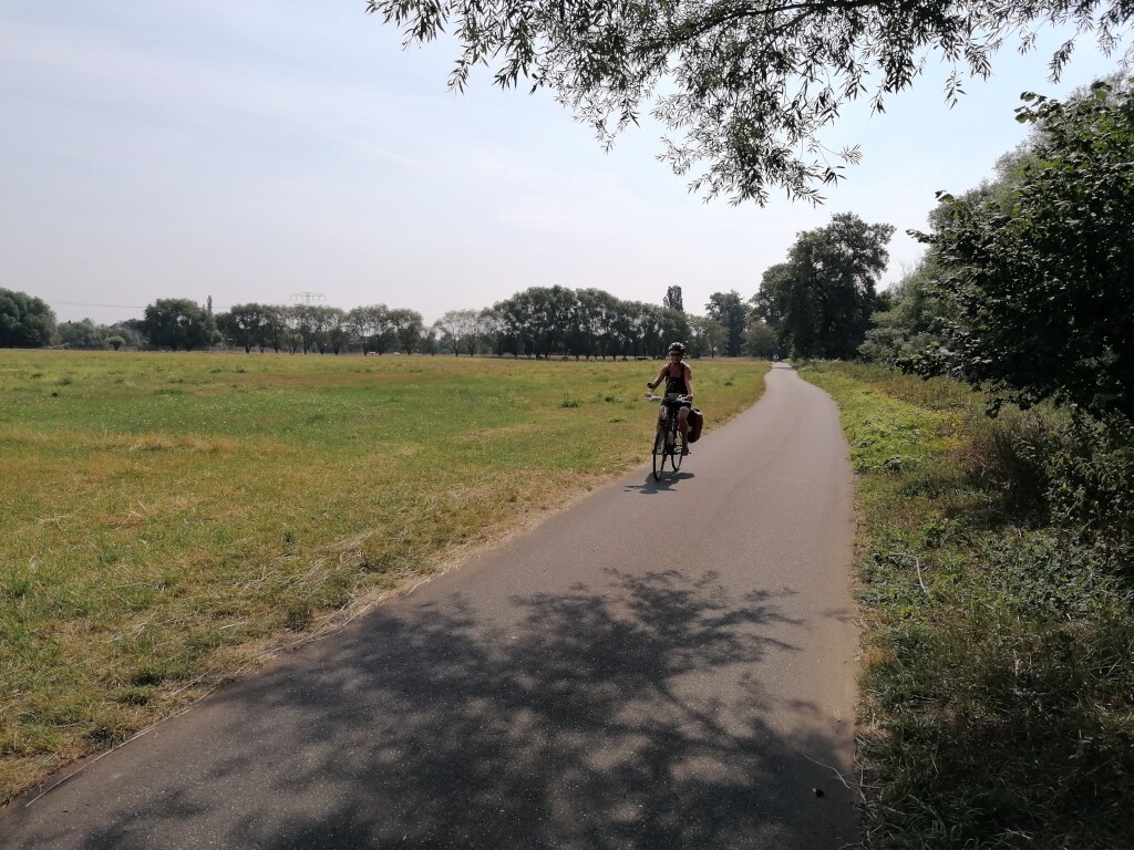 Elbe Radweg
