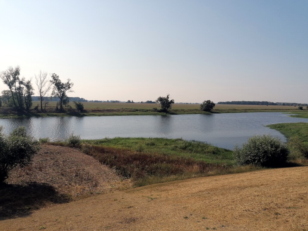 Elbe Radweg