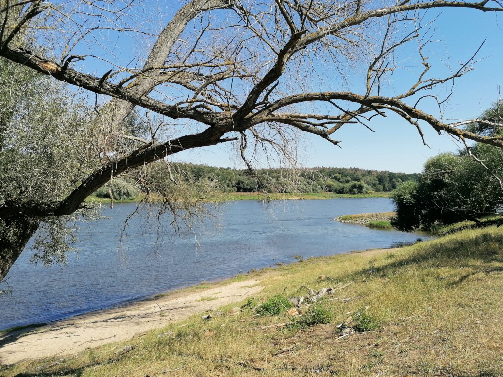 Elbe Radweg