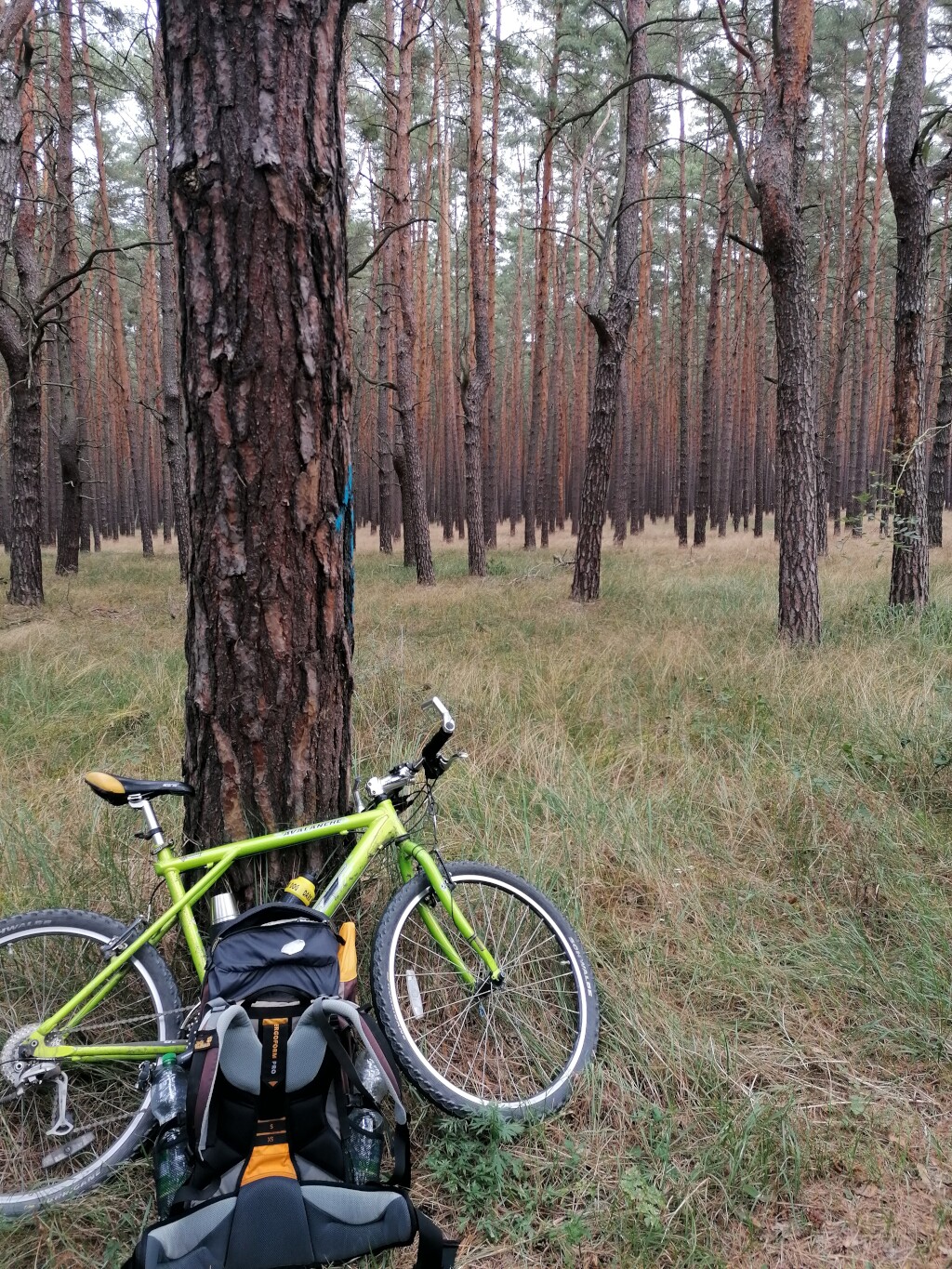 Elbe Radweg