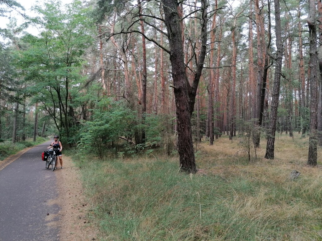 Elbe Radweg