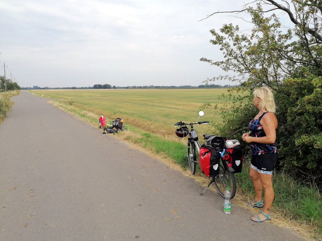 Elbe Radweg