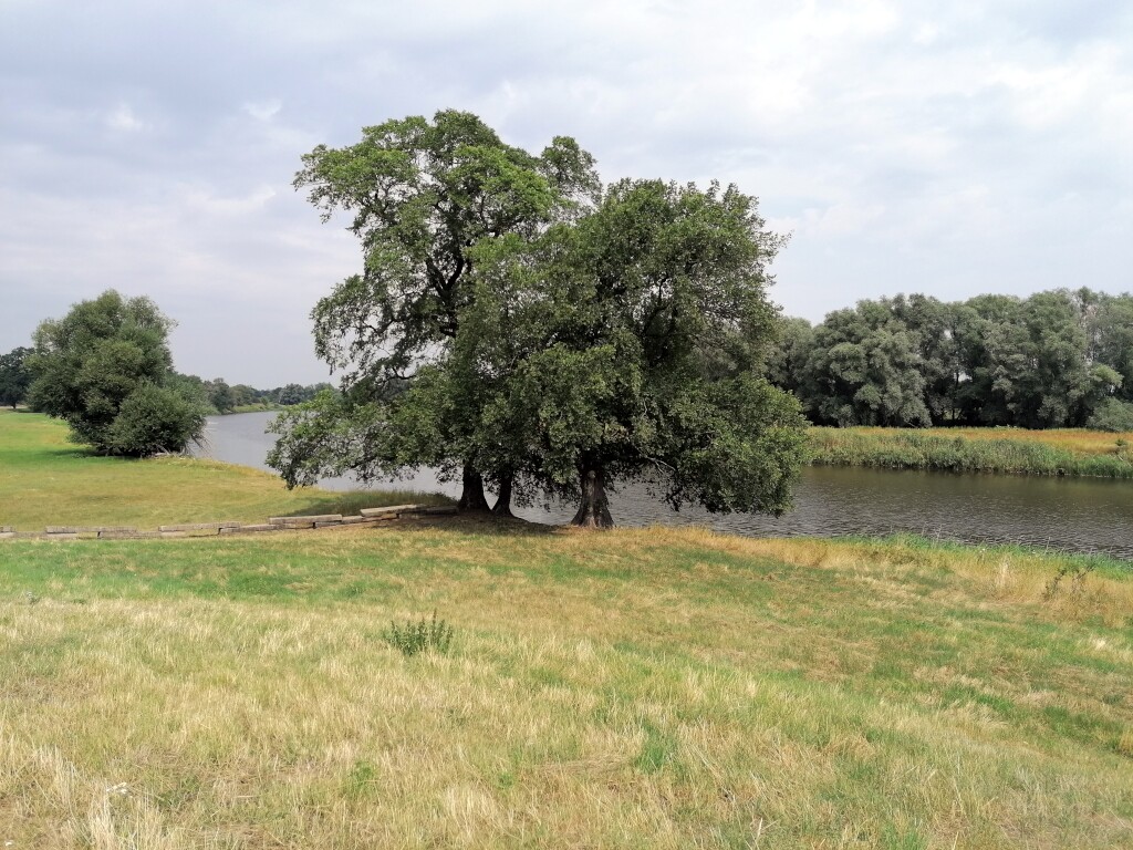 Elbe Radweg
