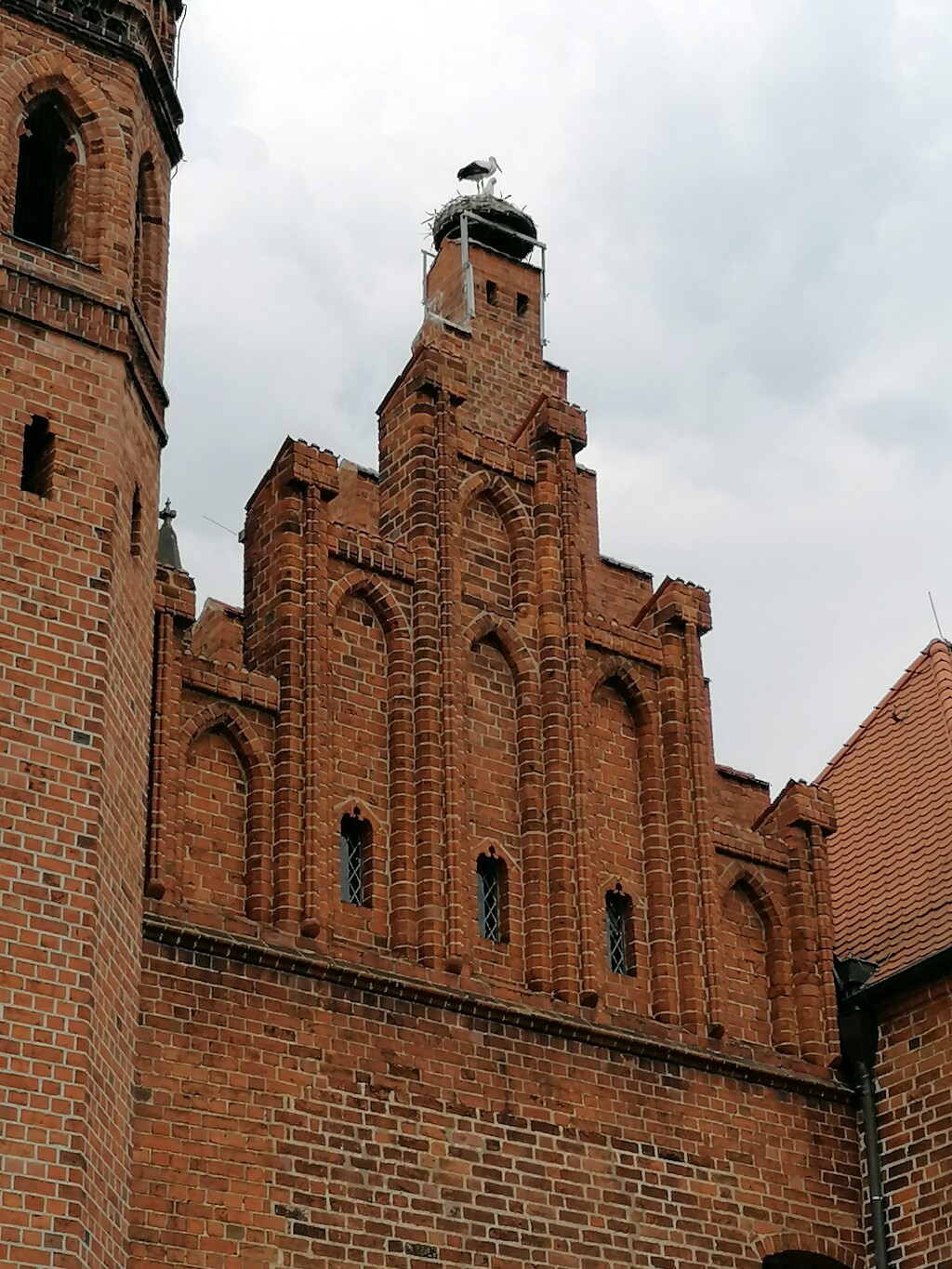 Elbe Radweg