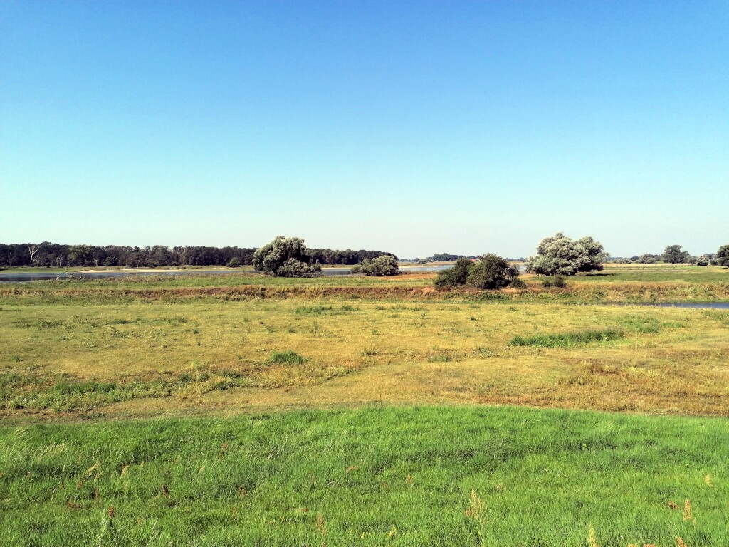 Elbe Radweg