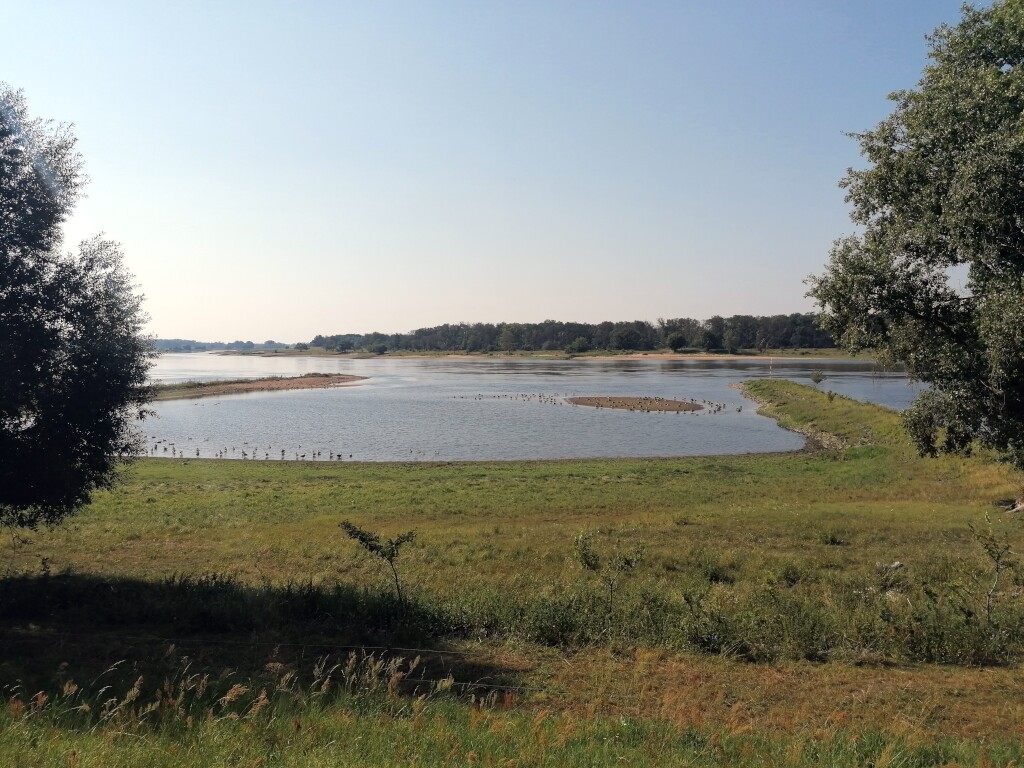 Elbe Radweg
