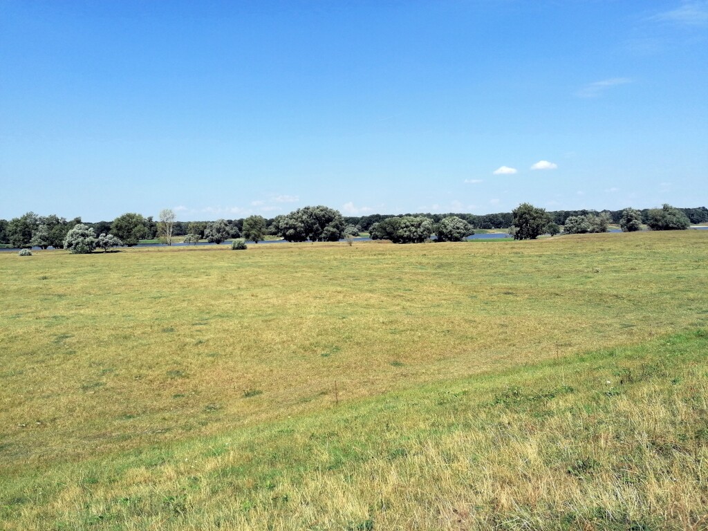 Elbe Radweg