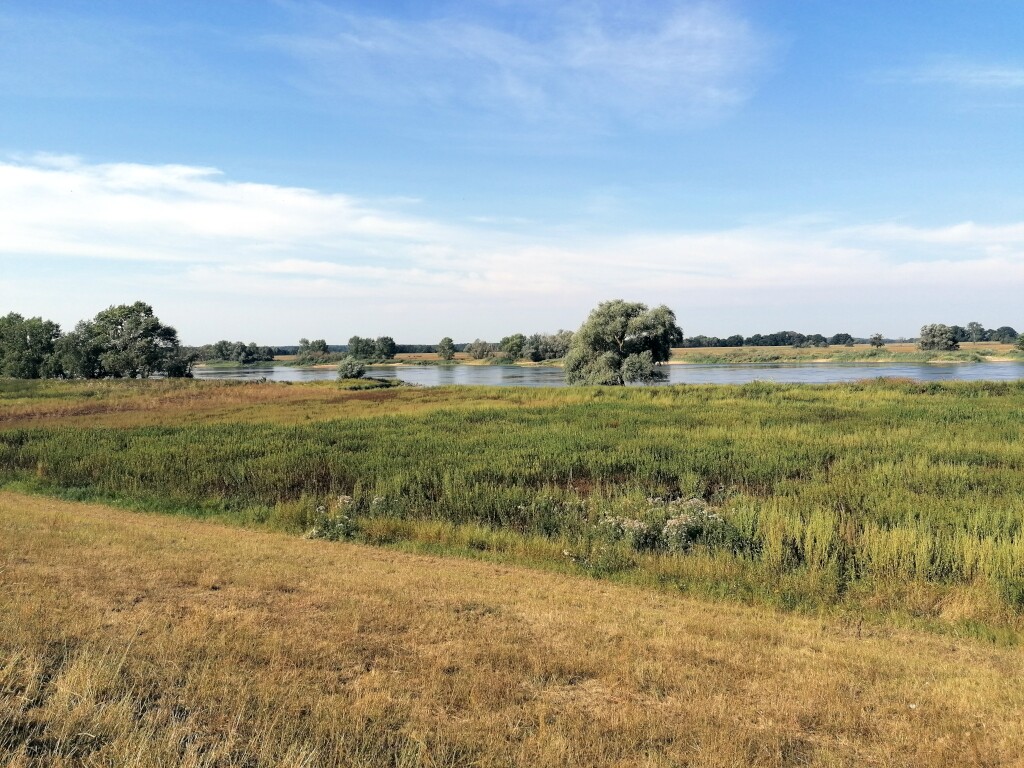 Elbe Radweg