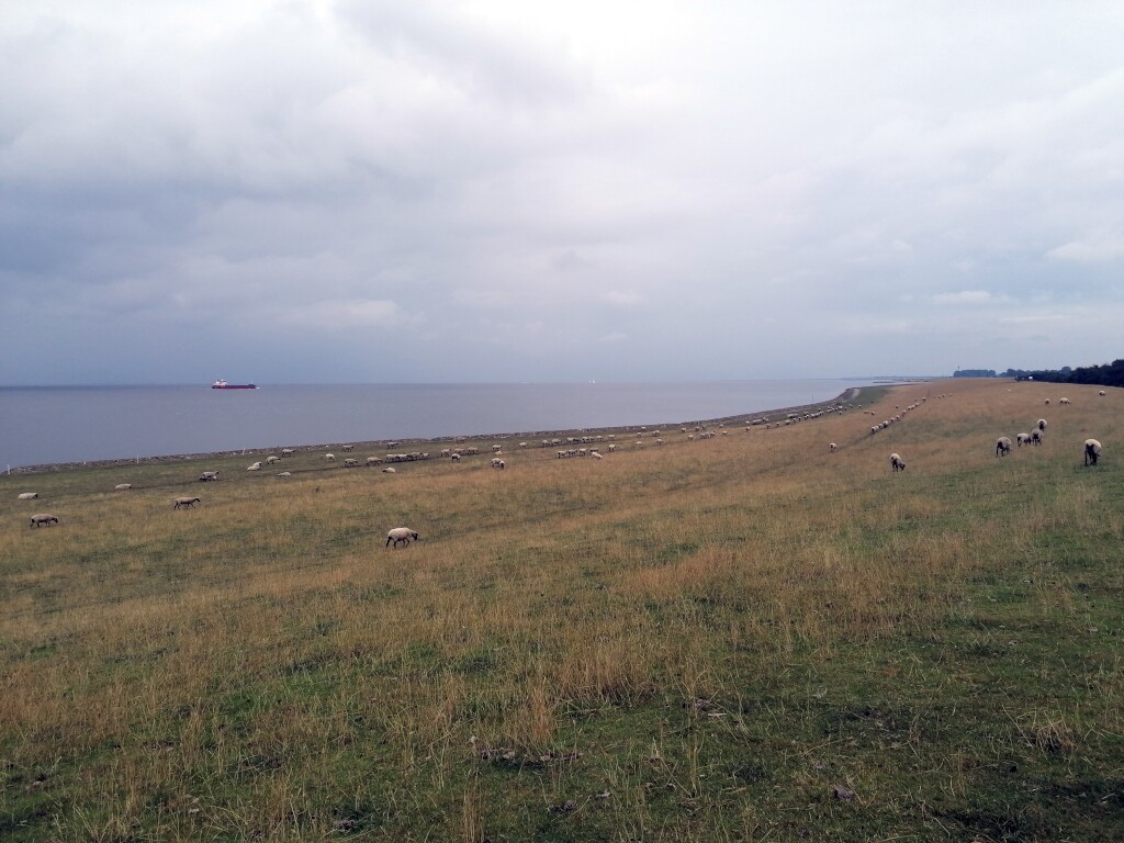 Elbe Radweg