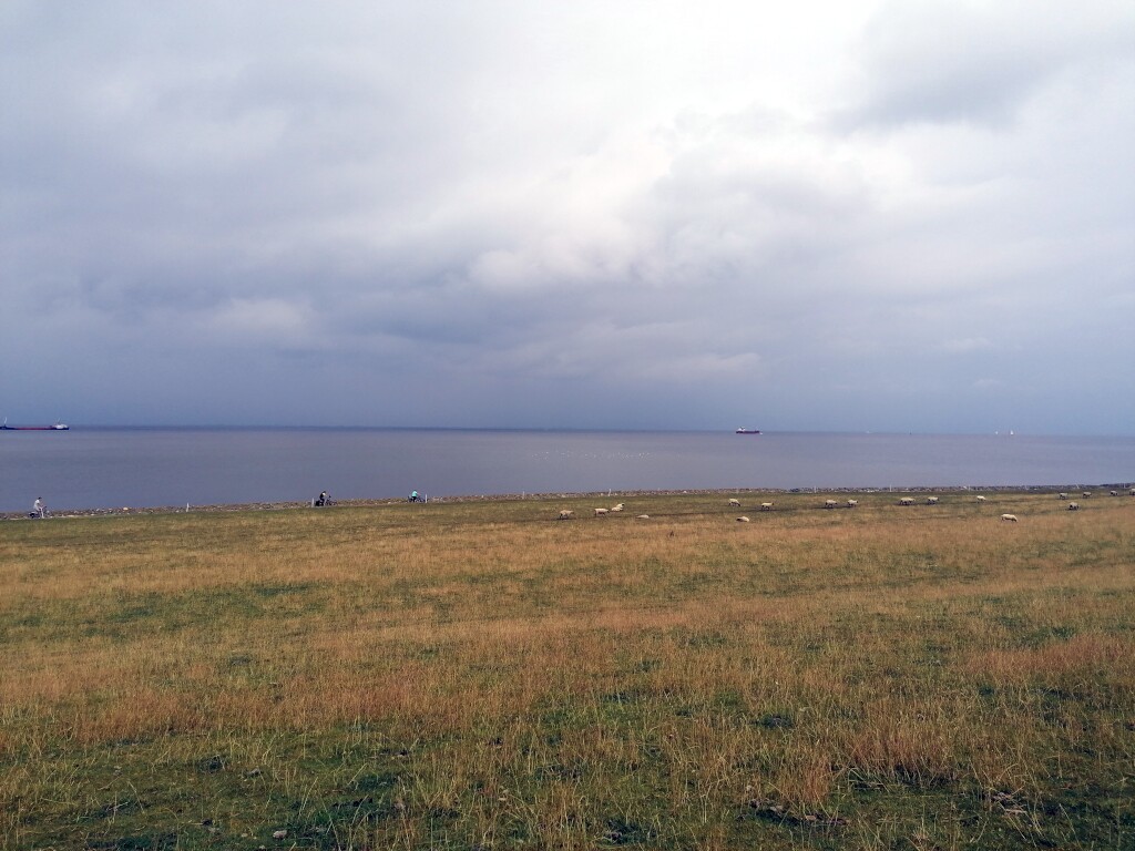Elbe Radweg