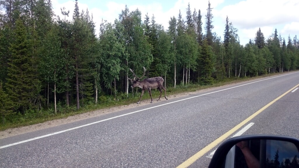Finnland und Nordkap
