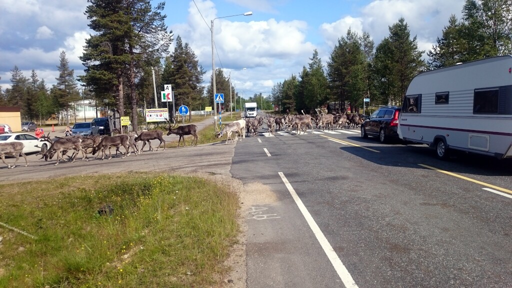 Finnland und Nordkap
