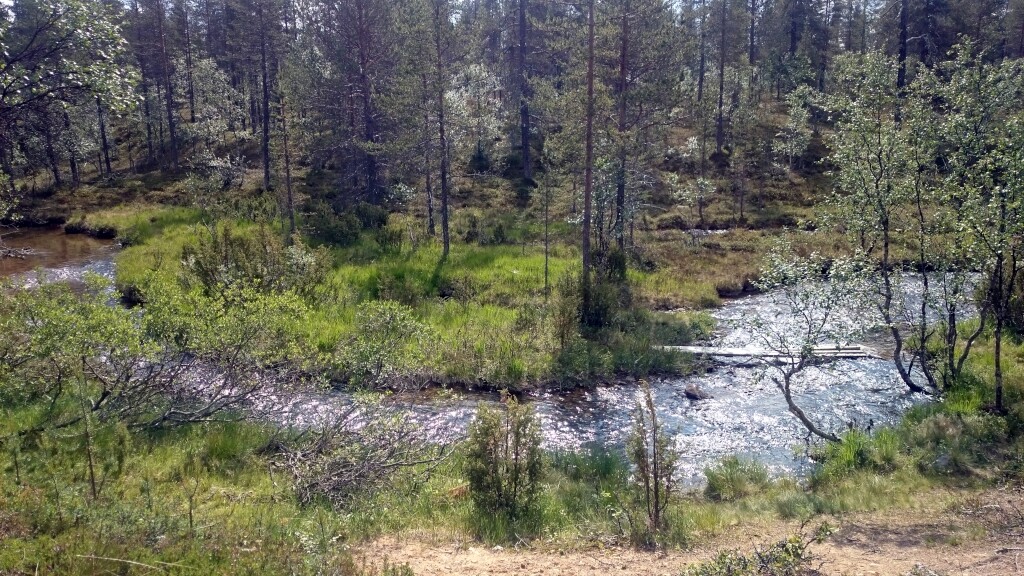 Finnland und Nordkap