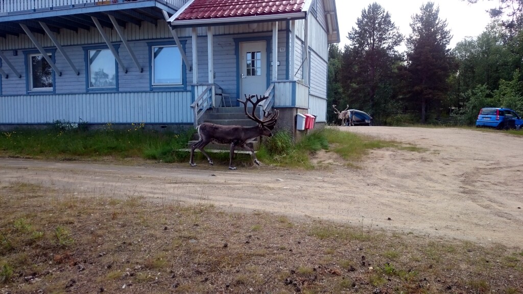 Finnland und Nordkap