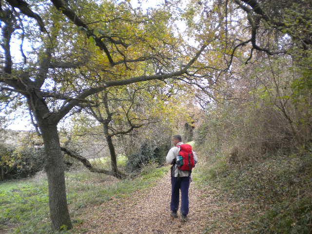 Camino francés