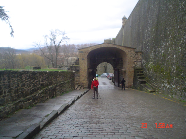 Camino francés
