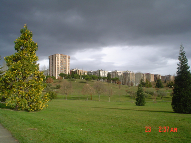 Camino francés