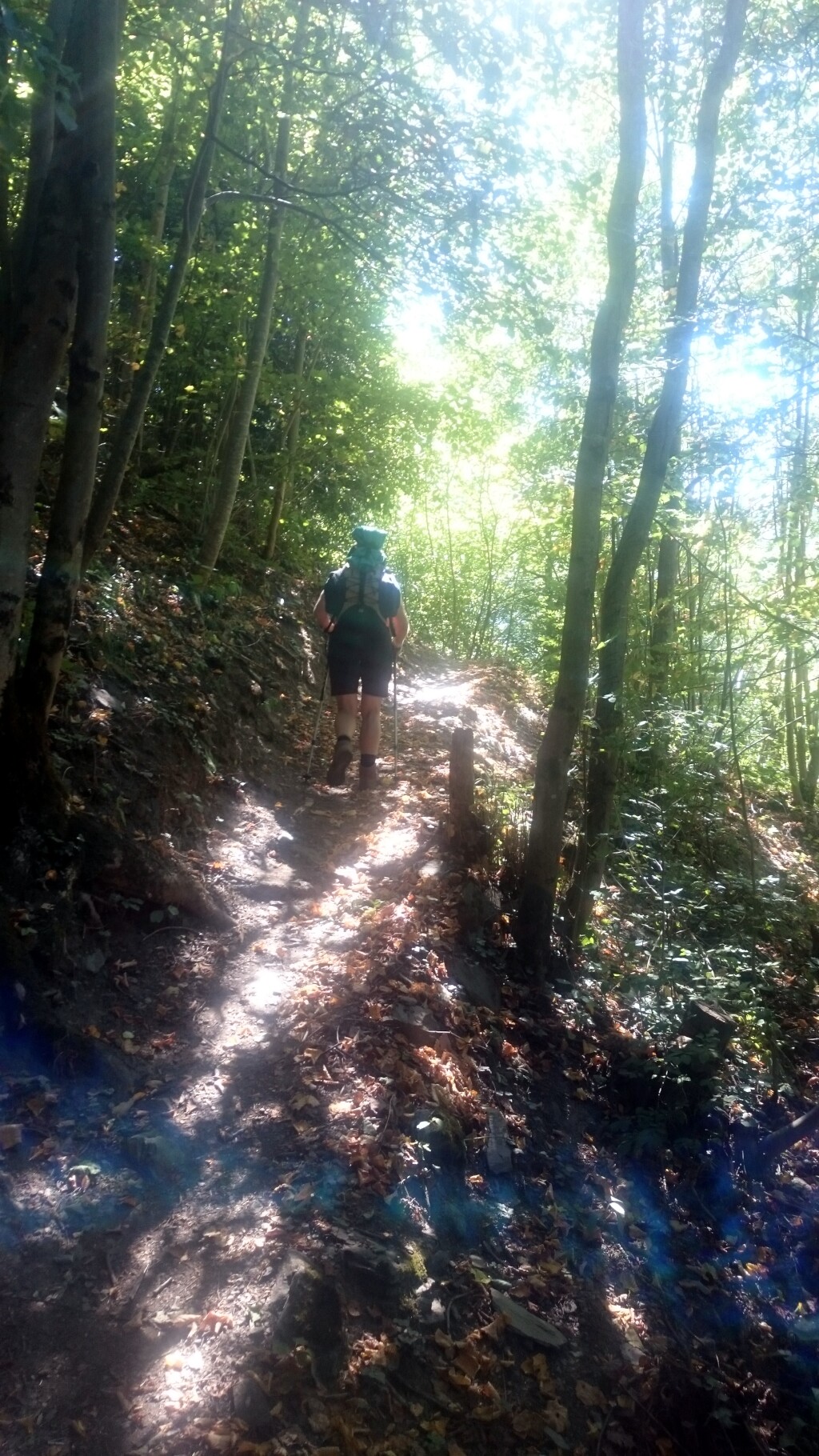Via francigena 2017