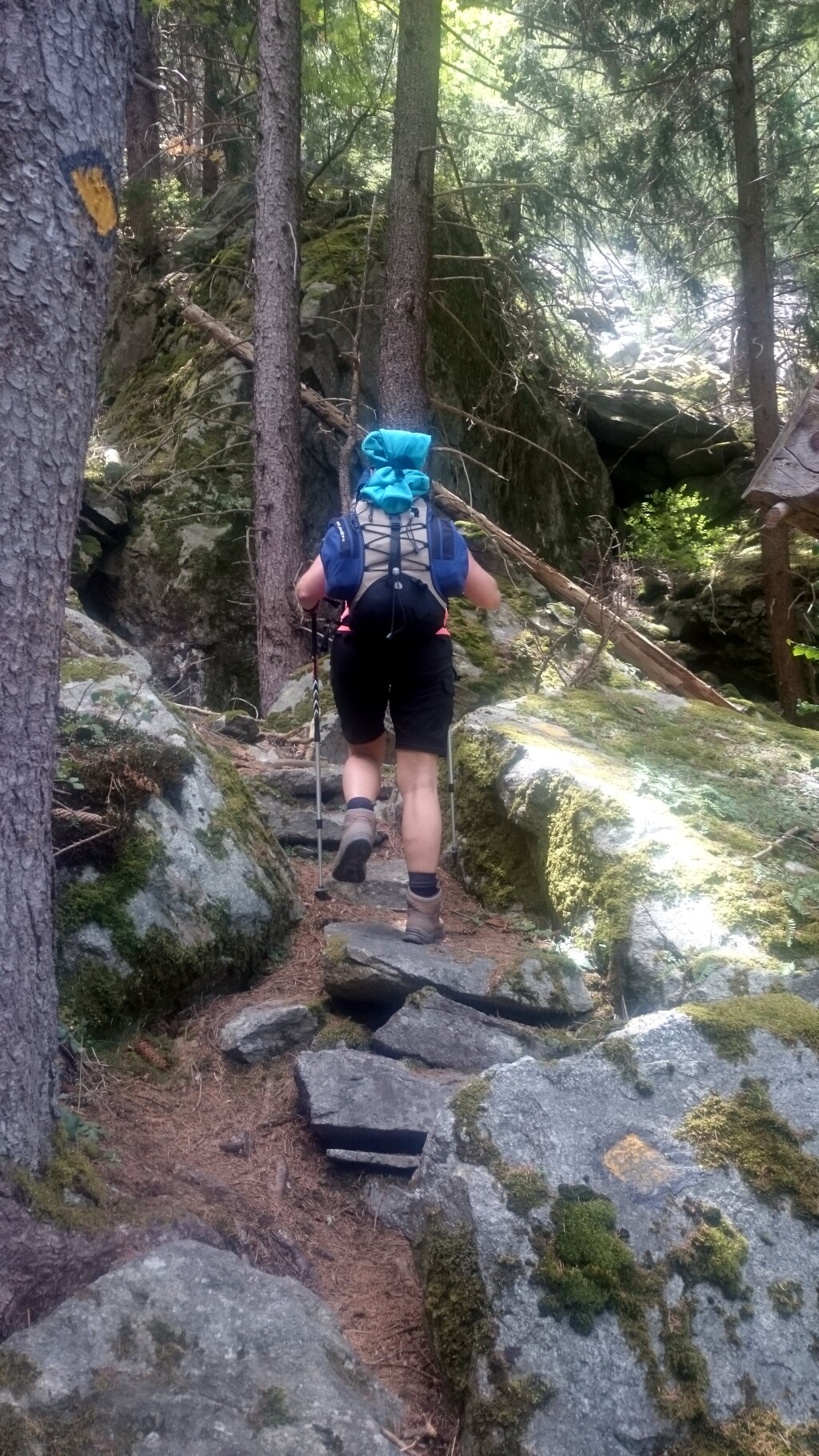 Via francigena 2017
