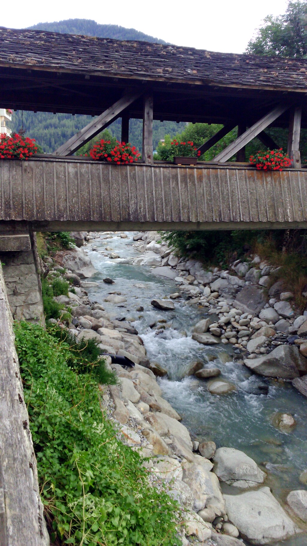 Via francigena 2017