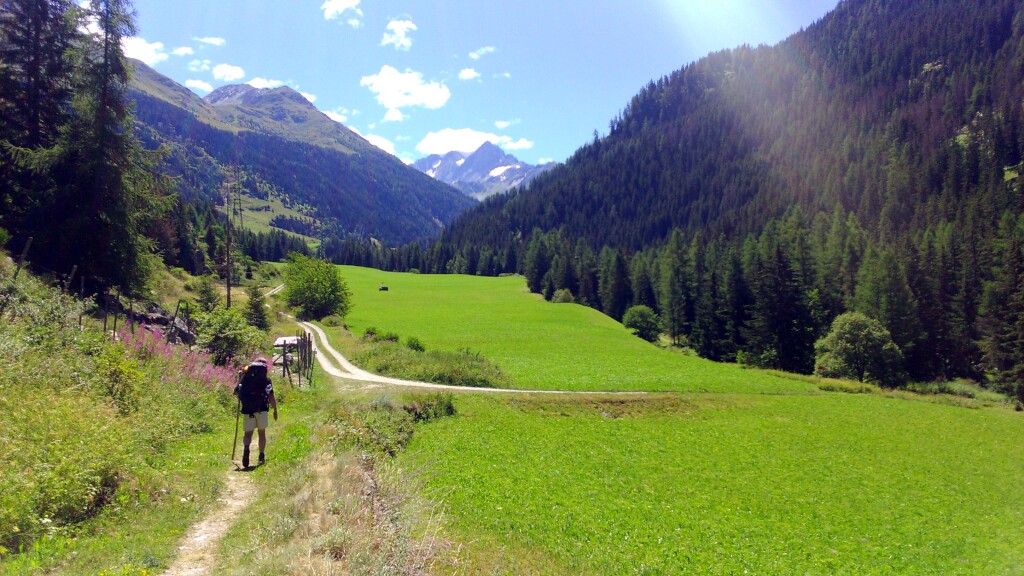 Via francigena 2017