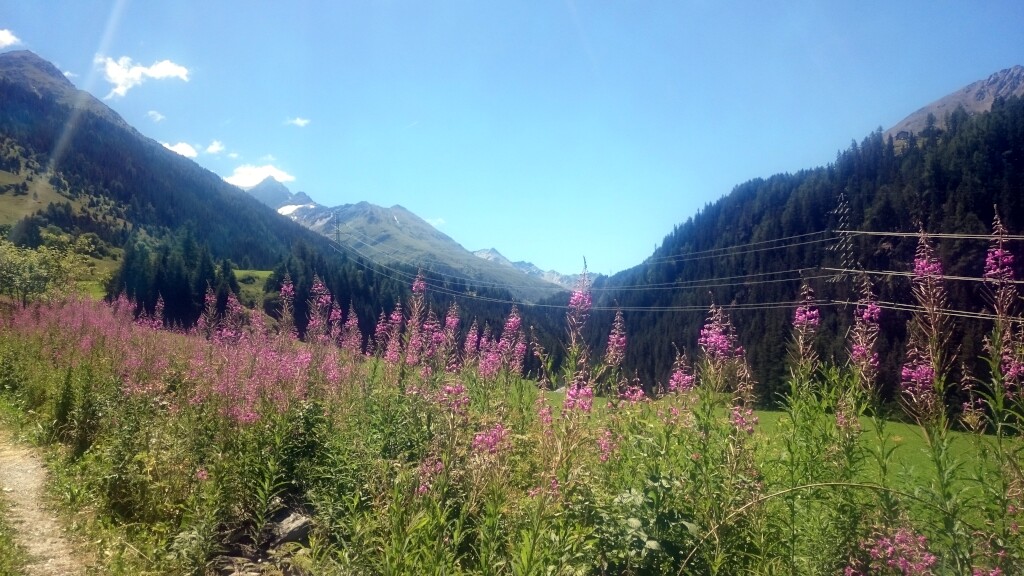 Via francigena 2017