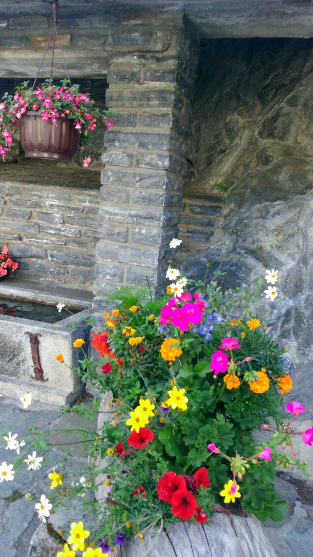 Via francigena 2017