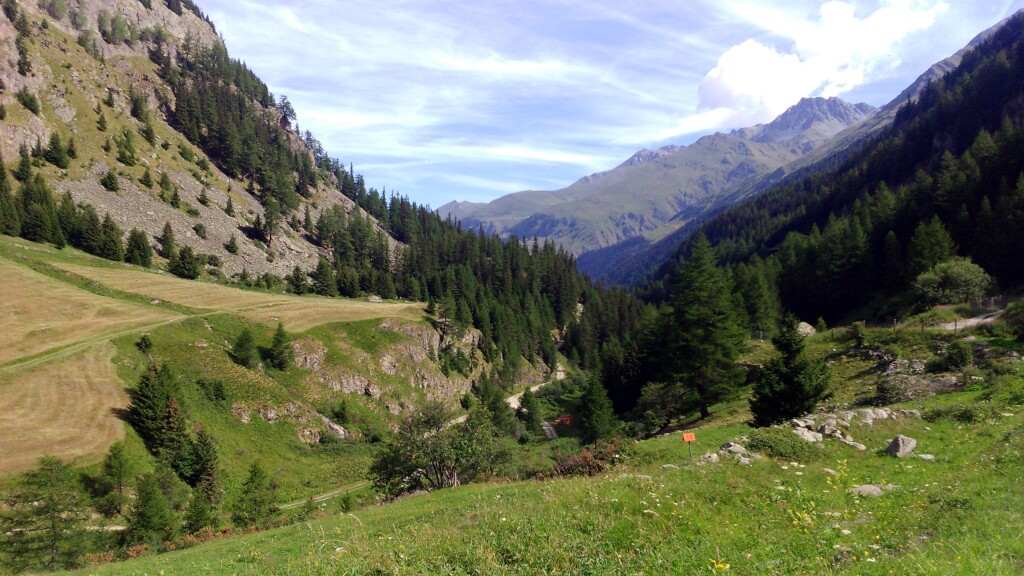 Via francigena 2017