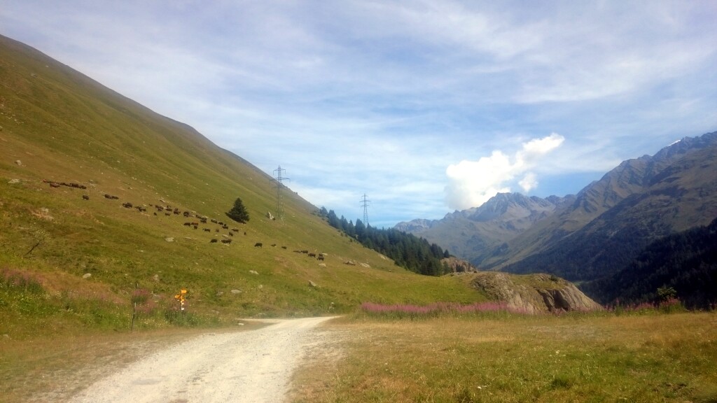 Via francigena 2017