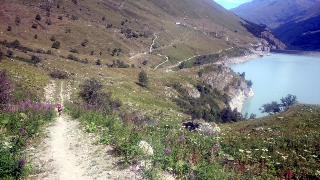 Via francigena 2017