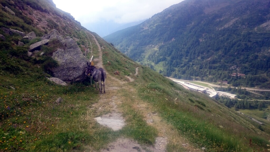 Via francigena 2017