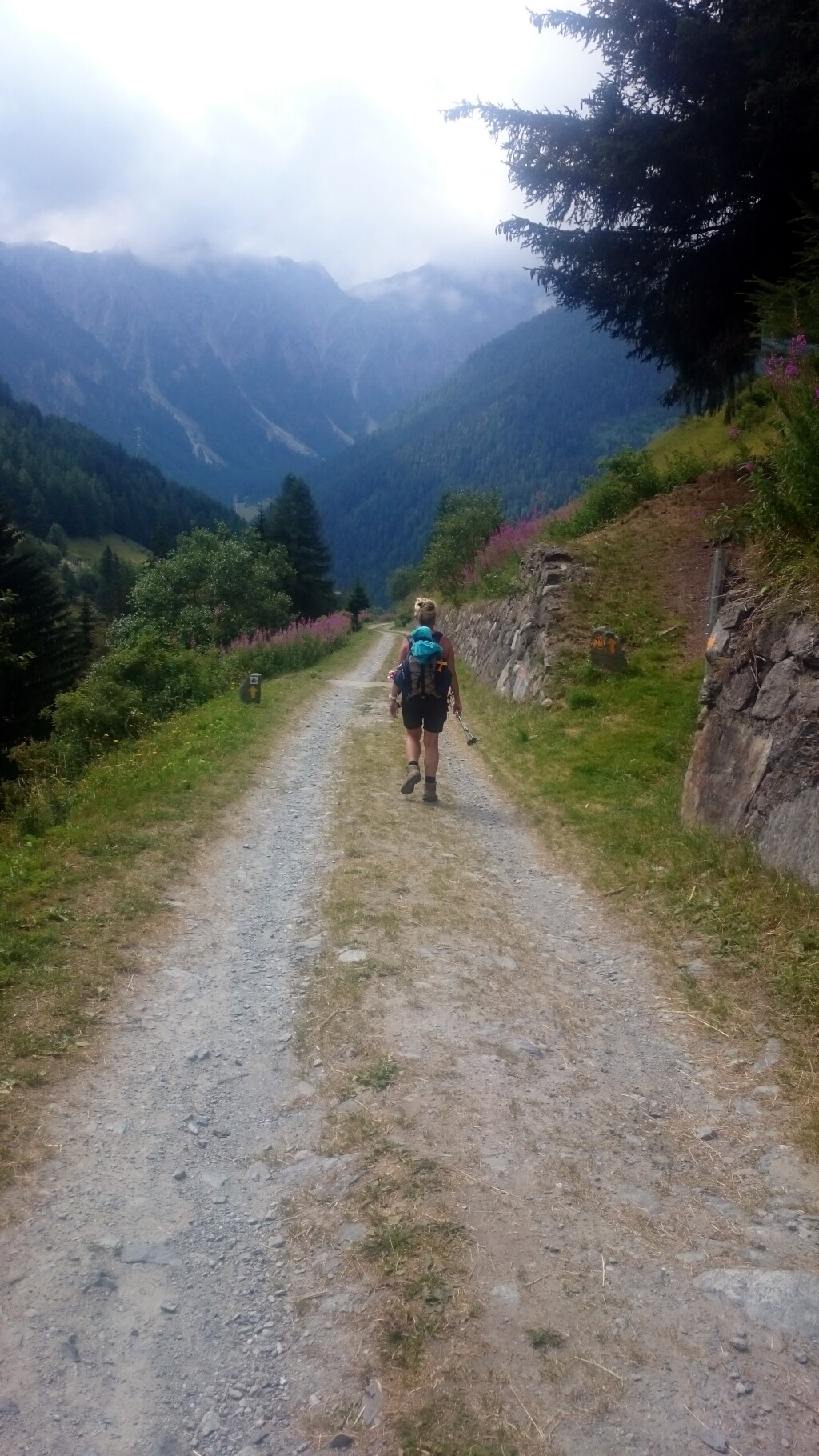Via francigena 2017