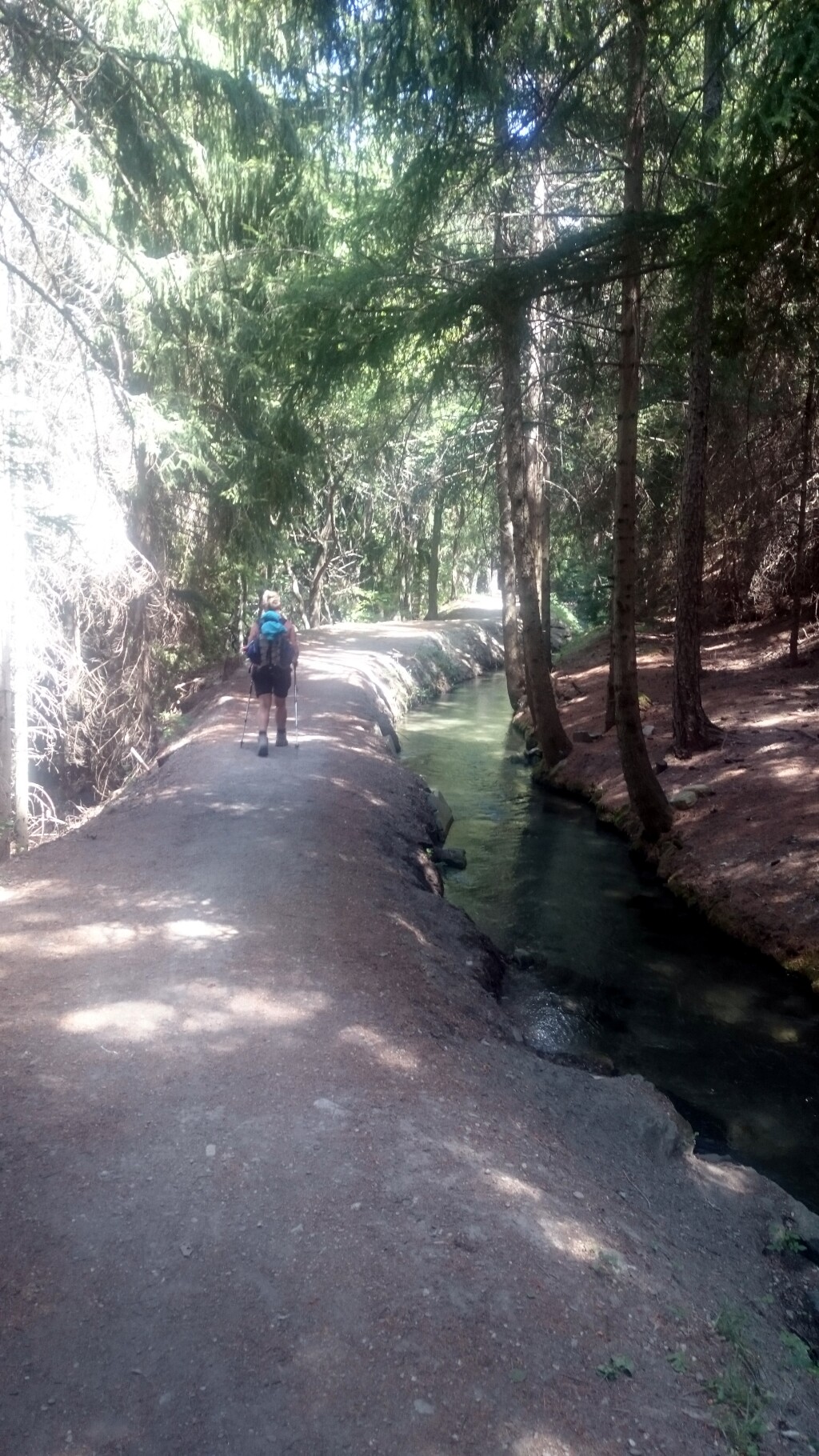 Via francigena 2017