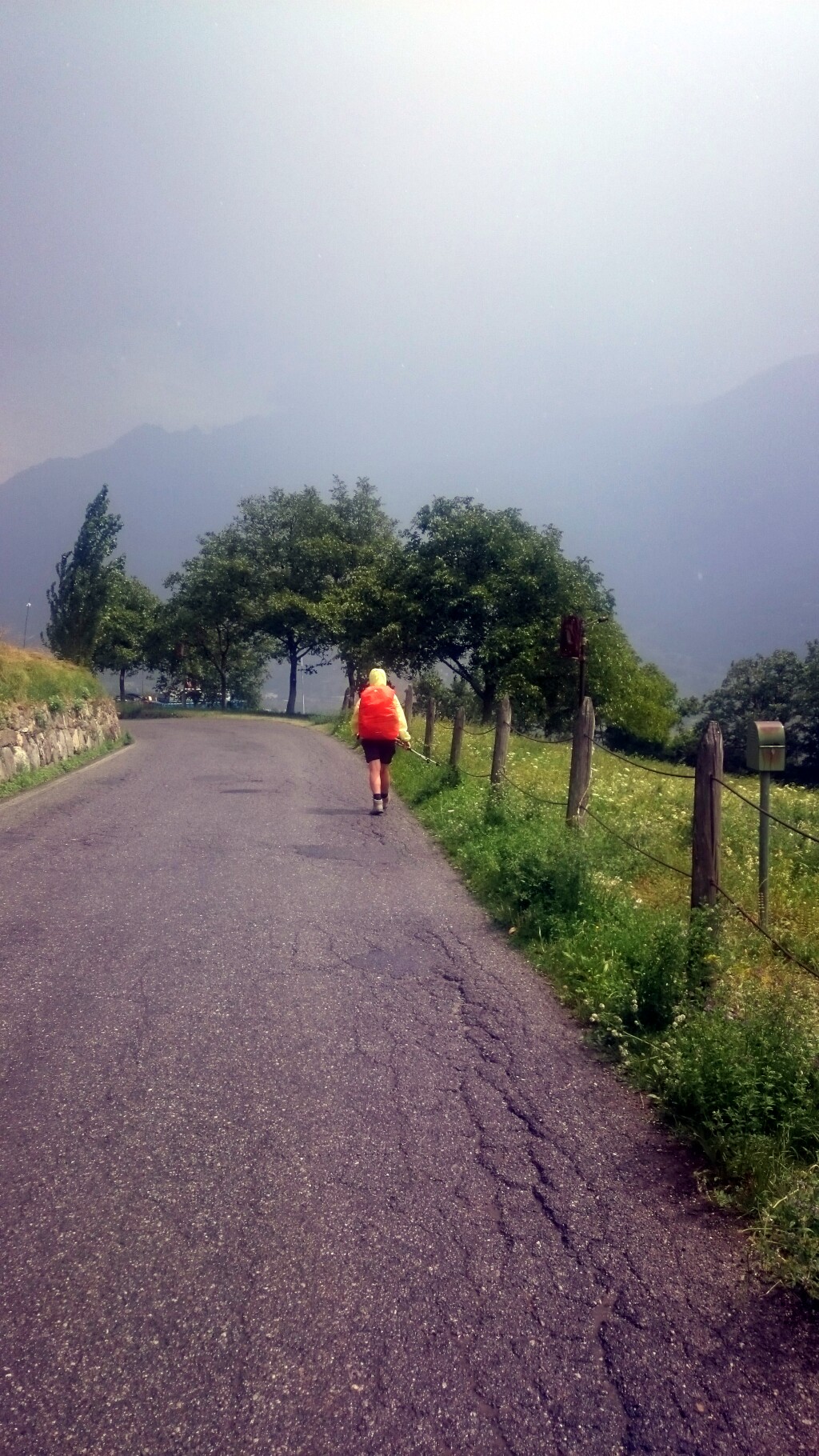 Via francigena 2017