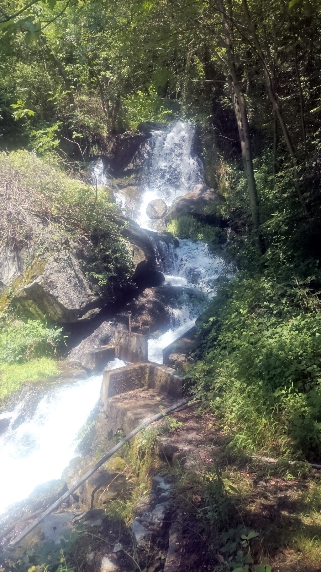 Via francigena 2017