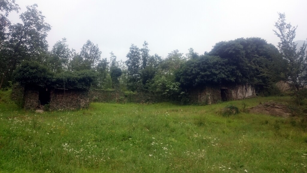 Via francigena 2017