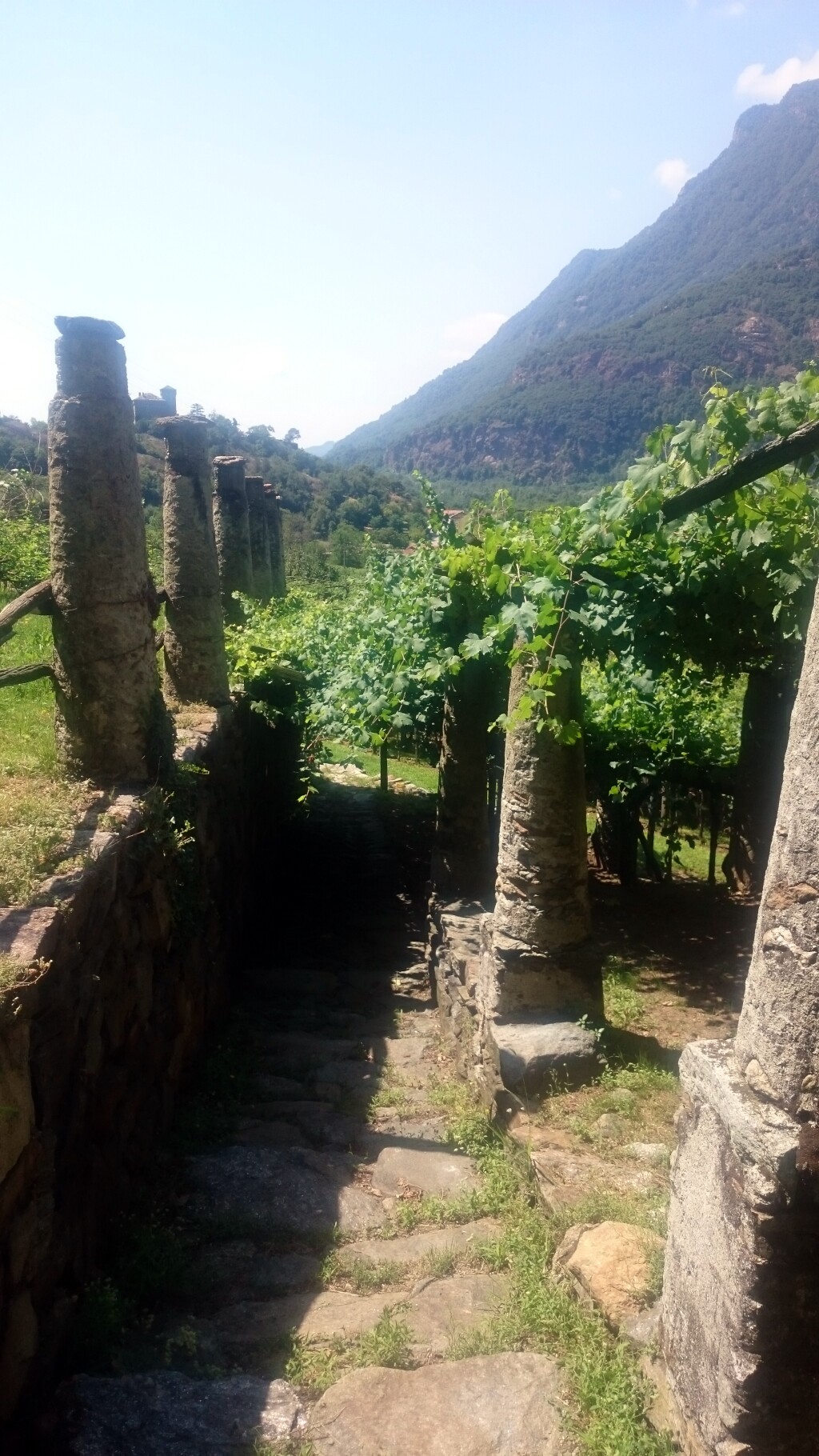 Via francigena 2017