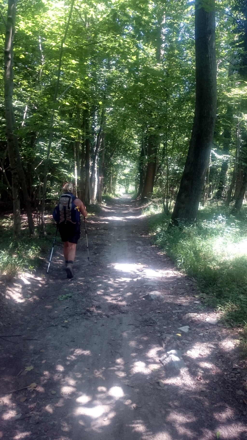 Via francigena 2017